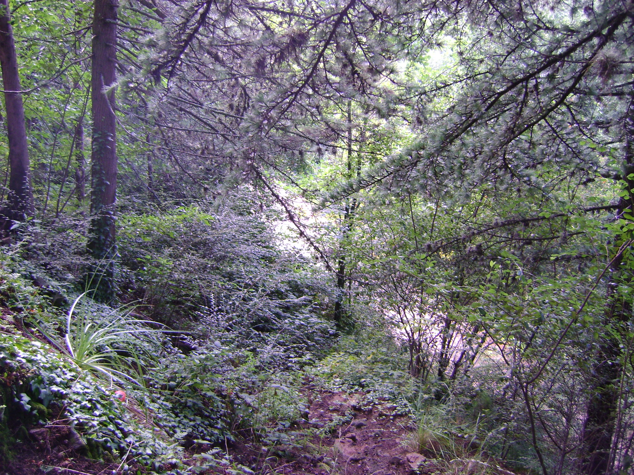 fotos/2011 - Los Reartes/DSC03365.JPG